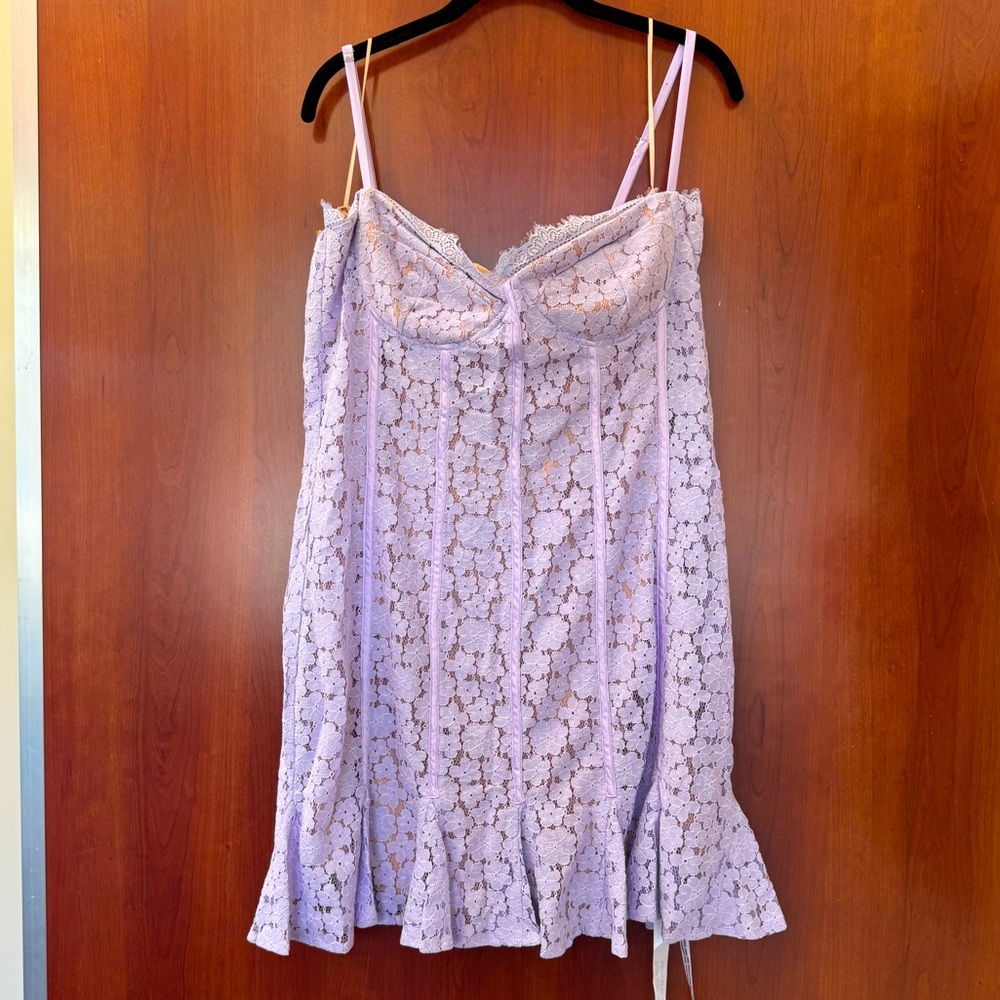 New Nasty Gal Lace Mini Dress Lavender Nude Lining Size 12 New With Tags Lace 12